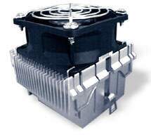 fop38.jpg (8476 bytes)